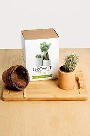 Nib uo cactus fortune grow kit. Pflanz Kit Fur Kakteen Grow It Cacti Urban Outfitters De