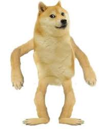 Here you can find the best doge meme wallpapers uploaded by our community. Doggo Meme Templates Get Meme Templates