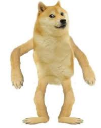 Use available templates or quickly add captions to your custom images! Doggo Meme Templates Get Meme Templates