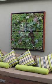 Blumendekoration Lebendige Wanddekoration Aus Blumen Und Pflanzen Sukkulentenwand Blumendekoration Pflanzen