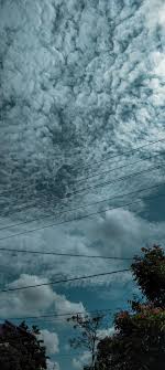 See more ideas about bud vases arrangements, lightning shoes, best love messages. Langit Biru Langit Langit Biru Gambar