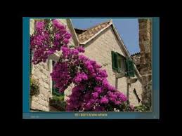 A Place In My Heart Nana Mouskouri Youtube Heart Songs Nana Kitty Wells