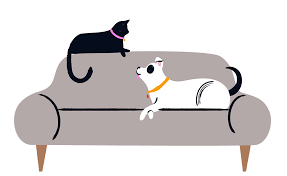 Weeks or in some cases months during which your new pet's personality is emerging and growing while you get to know one another. Home Pet Tales Rescue