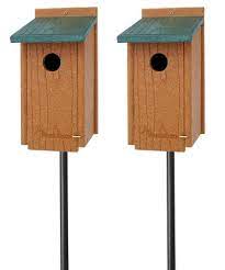 Audubon Premium Bluebird House Package With Poles At Bestnest Com
