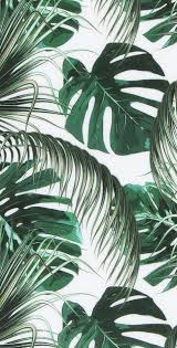 Iphone Background Tumblr Hd Behind Flowers Wallpapers For Iphone X Half Analog C 4k Leaves Wallpaper Iphone Aesthetic Iphone Wallpaper Leaf Wallpaper