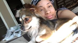 Hartlebury Common lost dog found fit and well. I've given after care and  vet advice and taken down the posters I can find. Spread the fabulous news !