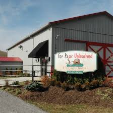 Open 24 hours a day, 7 days a week— four paws pet hotel & resort is the only real hotel for pets! For Paws Unleashed Home Facebook