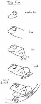 Draw A Tree Frog How To Draw A Tree Frog Animal Drawings Doodle Drawings Drawing Lessons