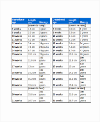 True To Life Average Baby Growth Chart Weight Baby Weight