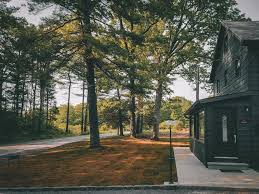Pinewood