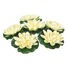 Pondlotus.com is the best place to buy or research more thank 270 varieties of sacred lotus hybrids for sale, however for our complete line of products, where you can purchase many different types of pond plants, waterlilies, tadpoles along with a variety of dry. Sunm Boutique Artificial Floating Foam Lotus Flowers Artificial Water Lily Pads Lotus Lilies Pad Ornaments For Patio Koi Pond Pool Aquarium Home Garden Wedding Party Garden Decor 6pcs Ivory Artificial Flowers Amazon Com Au