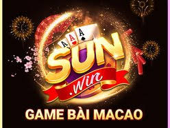 Taisun.me VIP Program – Exclusive Perks and Rewards