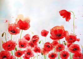 Vector watercolor painting poppy flower. Painting Poppies Flowers For Interior Living Room Bedroom Red White Scarlet Kupit Na Yarmarke Masterov D9dm9com Pictures Samara