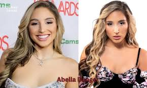 Abella Danger Net Worth: From Actress to Millionaire