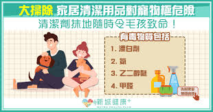 快醒醒，英雄。 距游戏首次公布的八年后， 《赛博朋克2077》终于正式和大家见面了。 进入夜之城的钥匙现在就握在你的手中。 是时候偷一波装备，寻一些刺激或是来一两场超梦体验了! Asp9kfie2avv4m