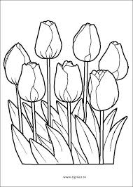 Planse de colorat cu flori. Planse De Colorat Cu Flori Archives Planse De Colorat