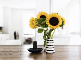 Tanaman kamboja memang indah, namun memang identik dengan pohon yang ada di pemakaman. 10 Lukisan Bunga Menurut Feng Shui Gambar Bunga Indah