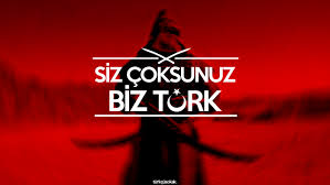 Turkcu Sokak Adina Yaptigim Siz Coksunuz Biz Turk Adli Calisma Turkler Bayrak Tarih