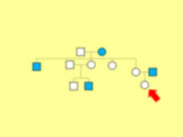 More Clickers Dec The Pedigree Chart Below Shows The