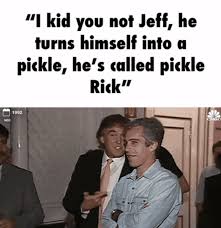 I Kid You Not Jeff He Turns Himself Into A Pickle Original Pickle Rick Funniest Shit Ever In 2020 I Kid You Not Know Your Meme Rick Memes
