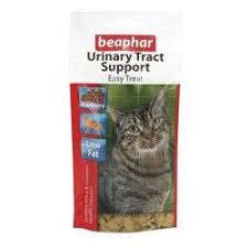 Kedi Vitamini Kedi Tuy Vitamini Kedi Vitamin Tavsiye Kedi Vitamin Hayvan
