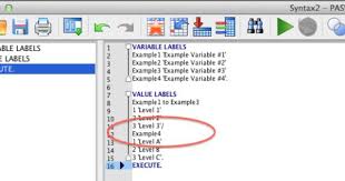 Using Syntax To Assign Variable Labels And Value Labels In Spss Stats Make Me Cry Consulting Syntax Variables Labels