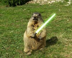 Lightsaber Fun Humor Sword Grass Woodchuck Animals Free Hd Animals Groundhog Day Animals Images