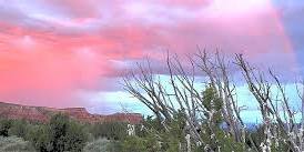 2026 Desert Meditation Retreat for GBTQ Men