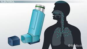 It binds therefore to beta 2 receptors found particularly in the bronchioles of the respiratory system. Albuterol Pharmacokinetics Mechanism Of Action Health Class 2021 Video Study Com