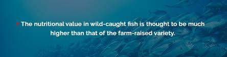 Whats The Difference Between Farm Raised And Wild Caught