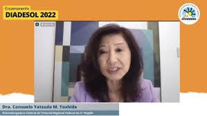 DIADESOL 2022: encerramento tem palestras sobre resíduos sólidos e anúncio  dos vencedores dos Concursos de Desenho Infantil e Video Amador - ABES