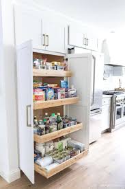 My Kitchen Renovation Must Haves Ideas Inspiration Driven By Decor In 2020 White Kitchen Remodeling Kitchen Remodel Small Kitchen Cabinets Storage Organizers