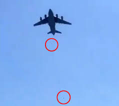 Bodies seen falling from planes by kaelan deese | august 16, 2021 08:17 am Yxmqu21o Krdim