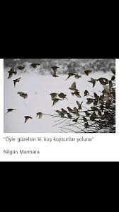 Oyle Guzelsin Ki Kus Koysunlar Yoluna Nilgun Marmara Guzel Soz Edebiyat Muthis