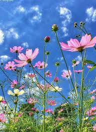Pin On Beautiful