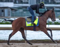 Maybe you would like to learn more about one of these? What Horses Are Possible Contenders For The 2021 Preakness Stakes