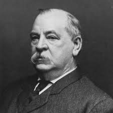 Why the hell did Grover Cleveland even become president? I'm no historian  but it seems like he just sat around vetoing things because he didn't think  the federal government should do anything,