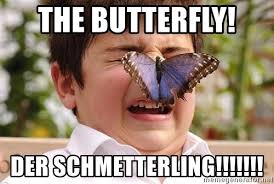 An image tagged butterfly man. The Butterfly Der Schmetterling Butterfly Kid Meme Generator