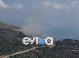 Σε εξέλιξη βρίσκεται μεγάλη πυρκαγιά που εκδηλώθηκε τα ξημερώματα στην περιοχή φυγιά καρύστου ευβοίας. P75o0v4gcw0bim