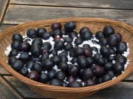 Come Conservare Olive Nere E Verdi Sotto Sale E Sott Olio Olio Cristofaro