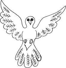 Burung memiliki jenis yanng cukup beragam. Mewarnai Gambar Sketsa Burung Merpati Terbang Terbaru Kataucap