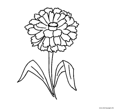 Subscribe to my free weekly newsletter — you'll be the first to know when i add new. Zinnia Flower Coloring Pages Printable