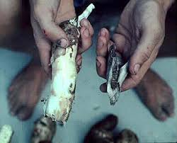 The Native Peoples of Turks and Caicos