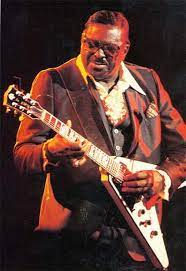Pin On Albert King