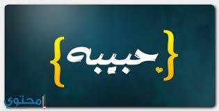 معنى اسم حبيبة وصفاتها وحكم التسمية habiba معاني الاسماء habiba اسم حبيبة بالانجليزي company logo logos tech company logos