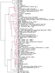 Download laporan post mortem pksr 2. Cluster Diagram Of The Top 62 Gene Markers The Dendrogram Was Created Download Scientific Diagram
