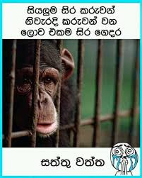 Sinhala animal joke video download. Sinhala Jokes Sinhala Jokes Added A New Photo