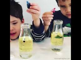 24) udara dan api tahu menyebut sebanyak bk pintar menulis hal. Kegiatan Sains Paud Tema Air Api Udara Youtube