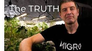 Basic cost of light, extract fan, oscillating fan = £106.28 per grow. What Is The Best Value Led Grow Light I Have Reviewed Youtube