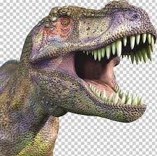 Dinosaur Png Dinosaur Prehistoric Animals Dinosaurs Prehistoric Animals Velociraptor Dinosaur